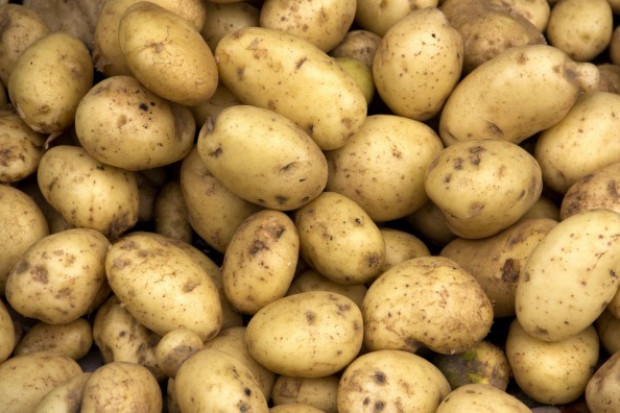 fot. shutterstock Ceny ziemniaków w Polsce nadal są niskie