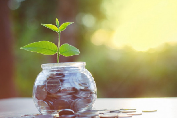 fot. shutterstock Spółka Hortico rozważa wypłatę dywidendy zaliczkowej