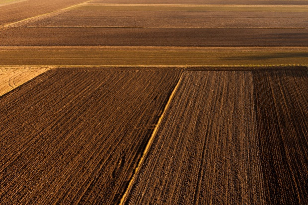 fot. shutterstock.com Ziemia rolna dla zakonów? Są poprawki do ustawy