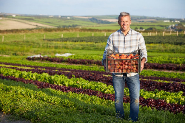 Polska chce wydłużenia terminu składania wniosków o dopłaty dla rolników. Fot. shutterstock Polska chce wydłużenia terminu składania wniosków o unijne dopłaty dla rolników