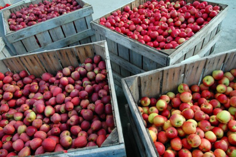 W 2015 r. wzrosły ceny detaliczne owoców chłodzonych i świeżych