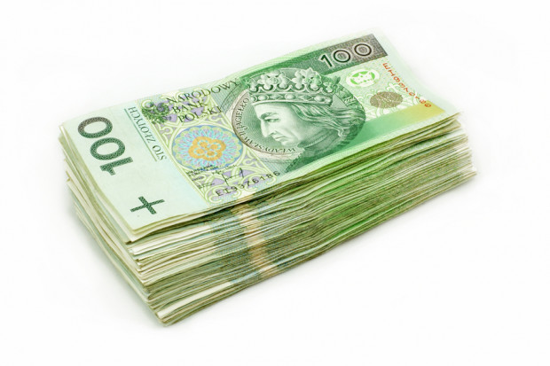 fot. shutterstock Ekonomiści: Program 500 Plus napędzi wzrost cen