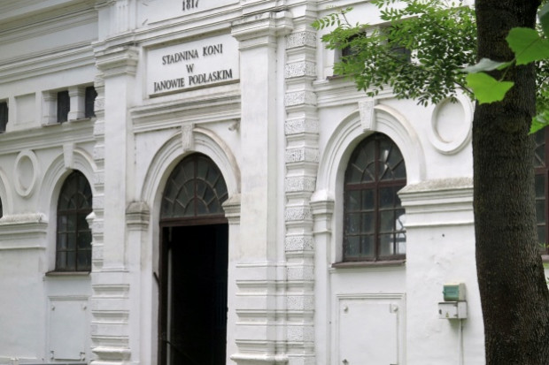 Ogłoszono konkurs na prezesa stadniny koni w Janowie. Fot. MP Ogłoszono konkurs na prezesa stadniny koni w Janowie