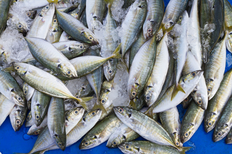 Fot. Shutterstock Niewielki spadek produkcji ryb i owoców morza