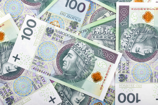 fot. shutterstock Uszczelnienie systemu podatkowego da budżetowi 22-33 mld zł