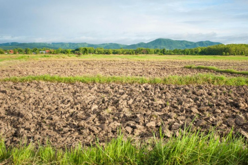 fot. shutterstock KRIR chce zmian w ustawie o sprzedaży ziemi