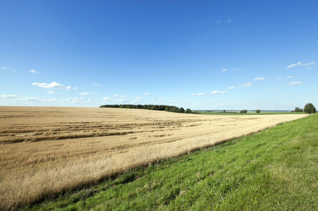 Fot. Shutterstock Ekspert ONZ ws. ustawy o obrocie ziemią: możliwy negatywny wpływ na jakość żywności