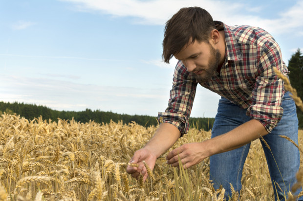 Fot. Shutterstock Blisko 3 tys. osób stara się o premie dla młodych rolników