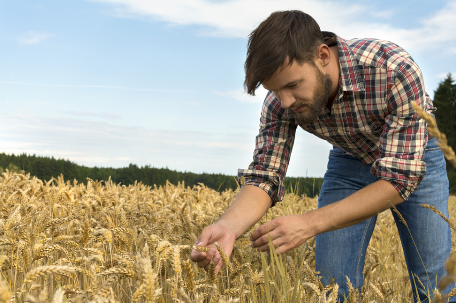 Fot. Shutterstock Blisko 3 tys. osób stara się o premie dla młodych rolników
