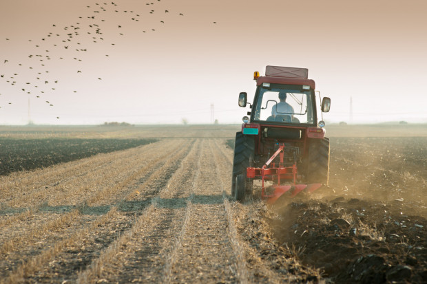 Fot. Shutterstock ARiMR apeluje o składanie wniosków o dopłaty bezpośrednie