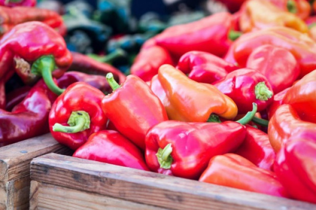 fot. shutterstock.com Producent papryki o prawie wodnym: Urzędnicy zupełnie nie znają realiów polskiej wsi!