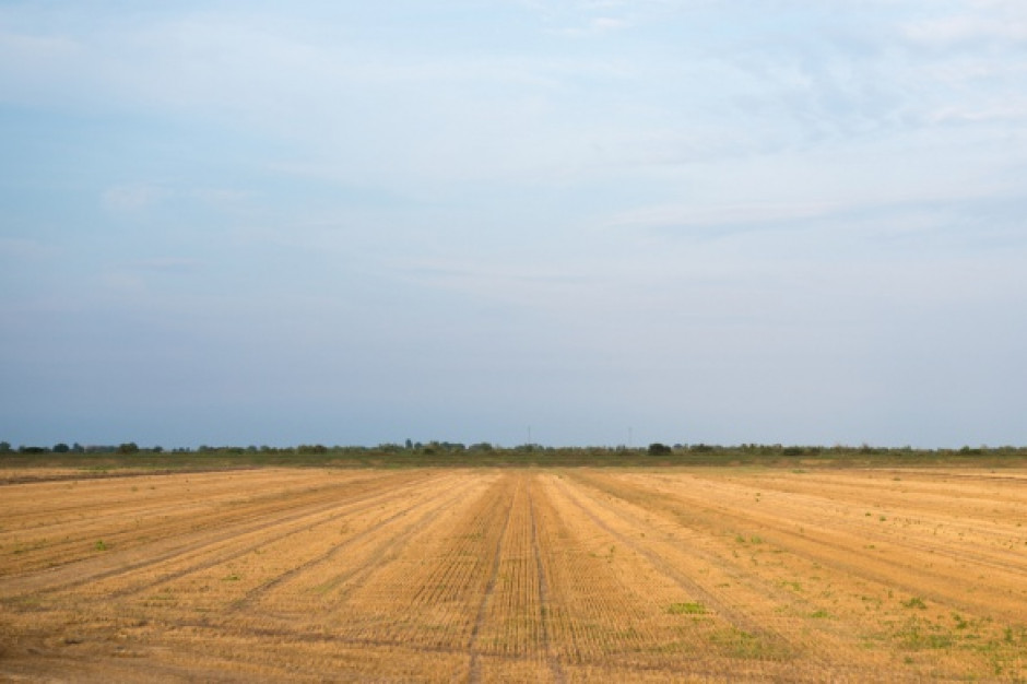 fot. shutterstock Afera w rolnictwie. CBA zatrzymało szantażystów
