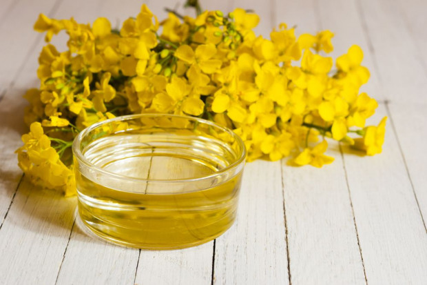 MR i MF ostrzegają przed wyłudzeniami VAT w obrocie olejem rzepakowym. Fot. shutterstock MR i MF ostrzegają przed wyłudzeniami VAT-u w obrocie olejem rzepakowym