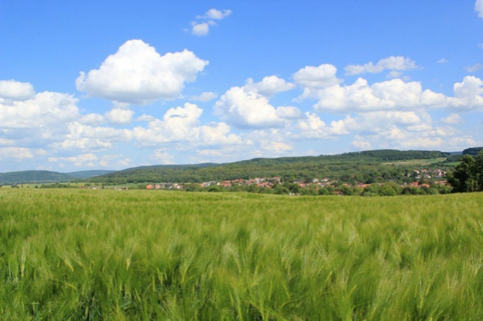 fot. pixabay.com Jan Szyszko: Gospodarka o obiegu zamkniętym szansą dla polskiej wsi