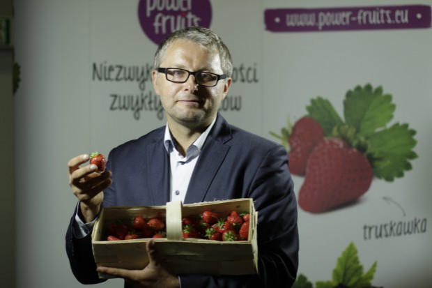 Janusz Andziak, prezes Stowarzyszenia Plantatorów Truskawek; fot. PTWP/Żelazna Studio Plantacje truskawek są w słabej kondycji