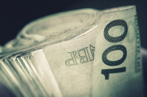 fot. shutterstock Złoty mocniejszy wobec euro. Inwestorzy czekają na decyzję Moody's