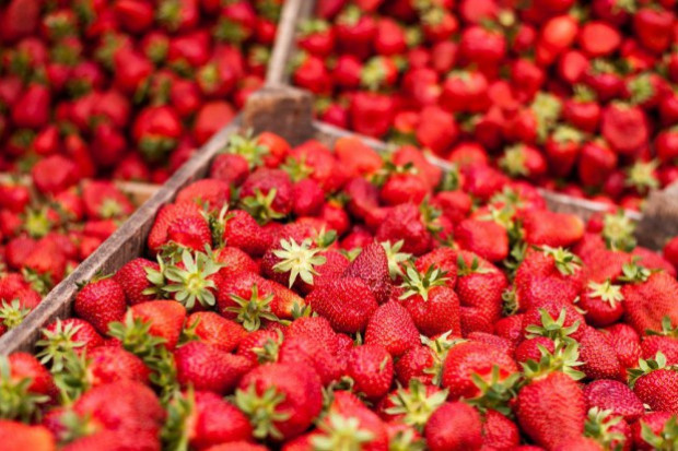 fot. shutterstock Bronisze: Polskie truskawki i szparagi coraz tańsze. Drogie papryka i bakłażany