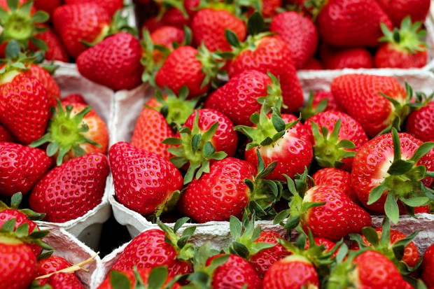 fot. pixabay.com Uliczni sprzedawcy truskawek wykorzystują niewiedzę klientów