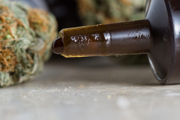 fot. shutterstock Kannabidiol (CBD) - antydepresyjny, choć nie psychoaktywny tłuszcz roślinny