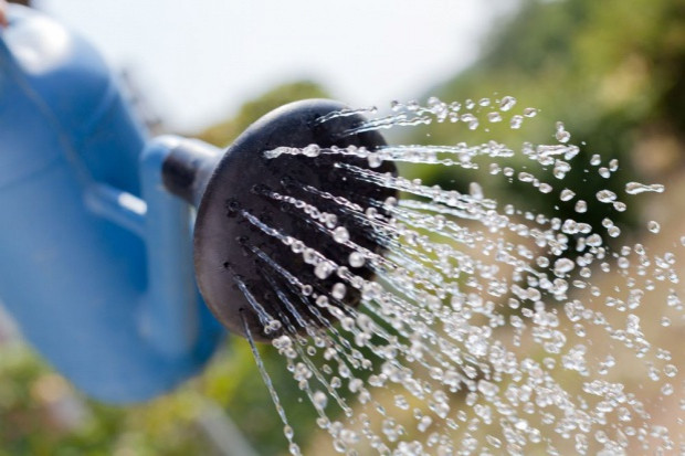 fot. shutterstock Nowe prawo wodne budzi kontrowersje w środowisku sadowniczo-ogrodniczym