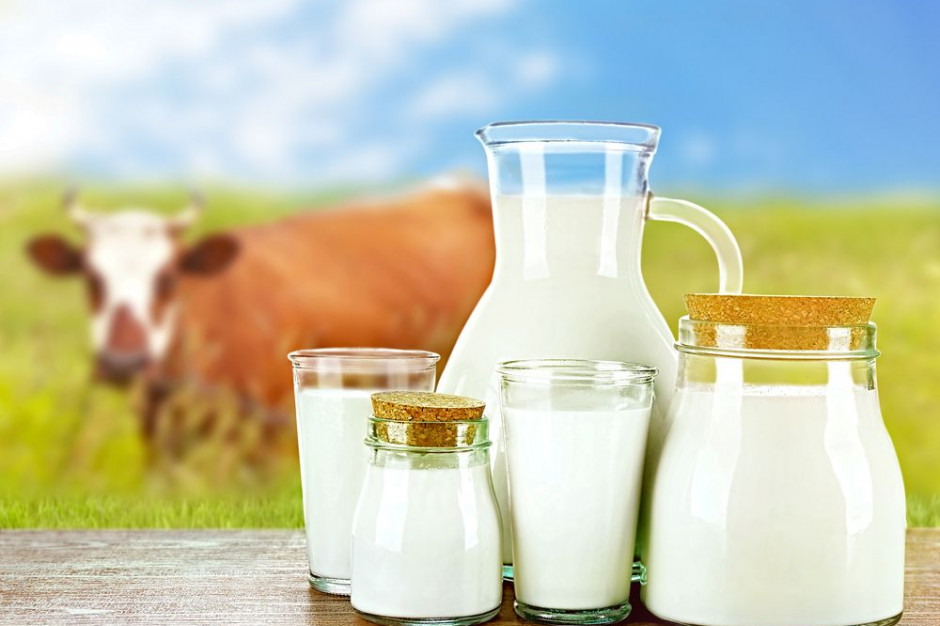 Hogan: Producenci powinni wziąć odpowiedzialność za produkcję mleka
