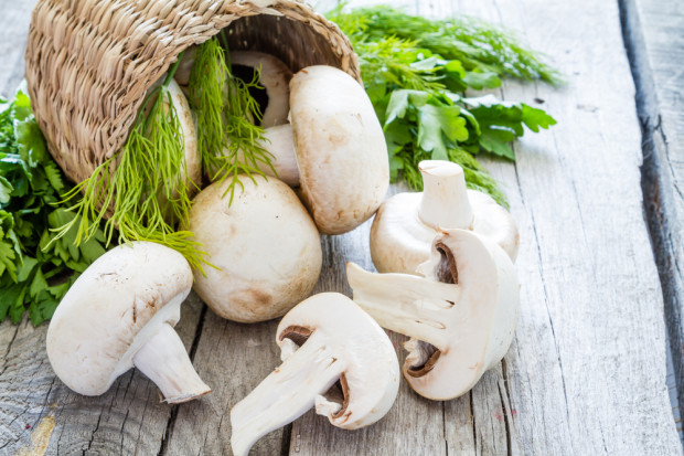 fot. Shutterstock Polskie pieczarki wzorem dla Holendrów
