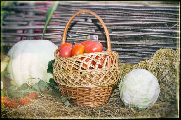 Fot. shutterstock Weszły nowe przepisy ułatwiające lokalną produkcję i sprzedaż żywności