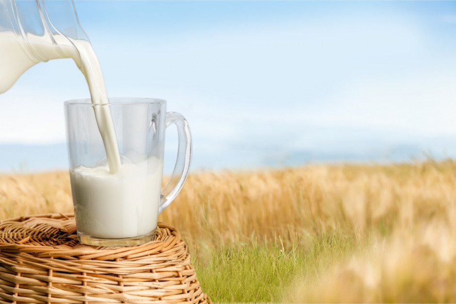 Najwięksi producenci skupiają 25 proc. światowego rynku mleka