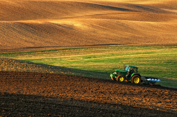 Fot. Shutterstock Wiceminister rolnictwa: będzie nowelizacja ustawy o sprzedaży państwowej ziemi rolnej