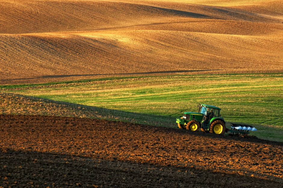 Fot. Shutterstock Wiceminister rolnictwa: będzie nowelizacja ustawy o sprzedaży państwowej ziemi rolnej