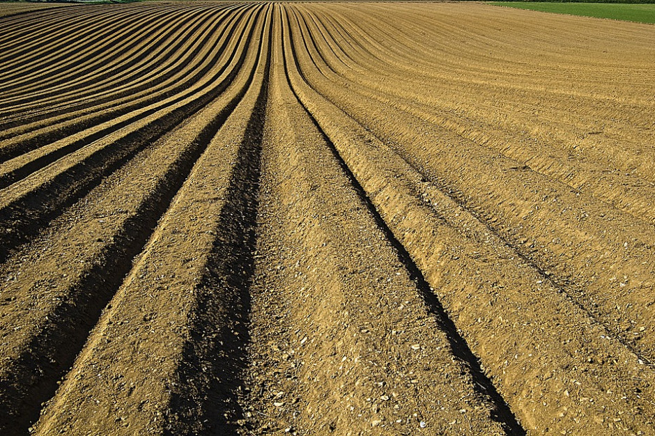 fot. pixabay.com Nowe wymogi czystości gleby. Zapłacą także rolnicy?