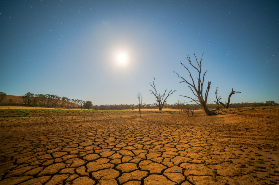 Fot. Shutterstock Polska Sahara