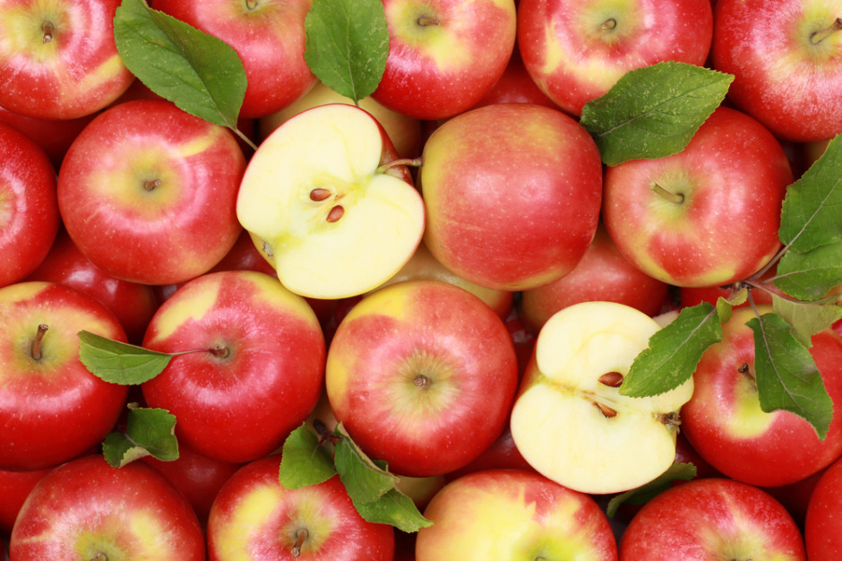 Polskie jabłka podbijają białoruski rynek 