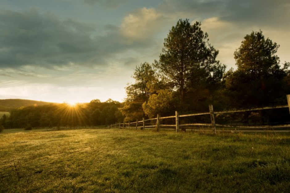 fot. shutterstock Resort rolnictwa pracuje nad uporządkowaniem przestrzeni obszarów wiejskich