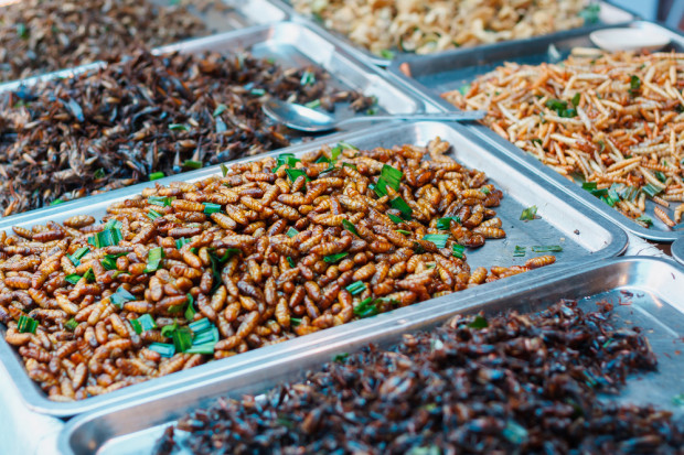 Przed jadalnymi insektami wciąż długa droga aby stać się globalną kategorią spożywczą. fot. shutterstock Owady w przekąskach i słodyczach. Ciekawostka czy początek nowego trendu?