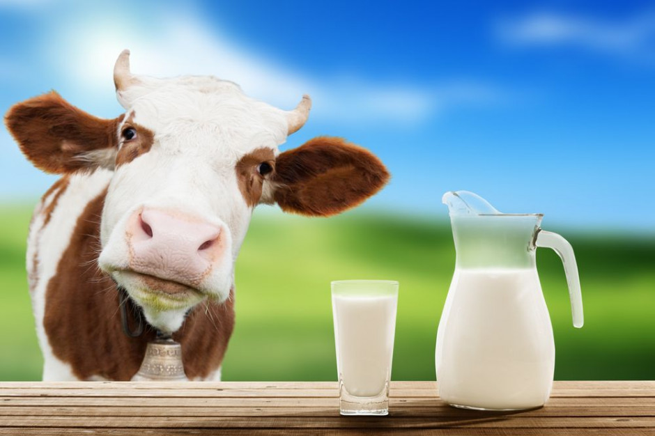 Pierwsze oznaki trwałego wzrostu cen na światowym rynku mleka