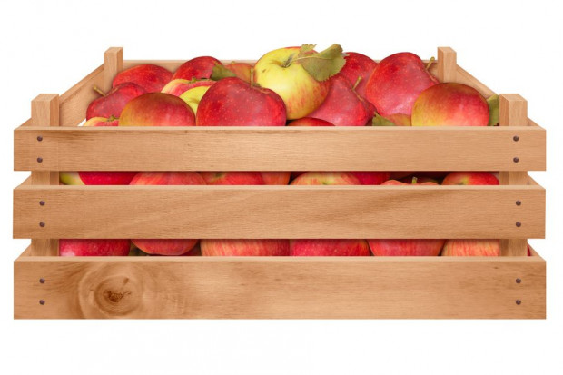 Fot. shutterstock Polscy producenci jabłek będą mieli szerszy dostęp do chińskiego rynku