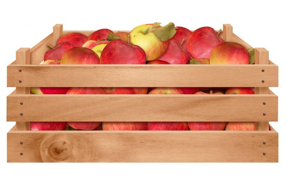 Polscy producenci jabłek będą mieli szerszy dostęp do chińskiego rynku