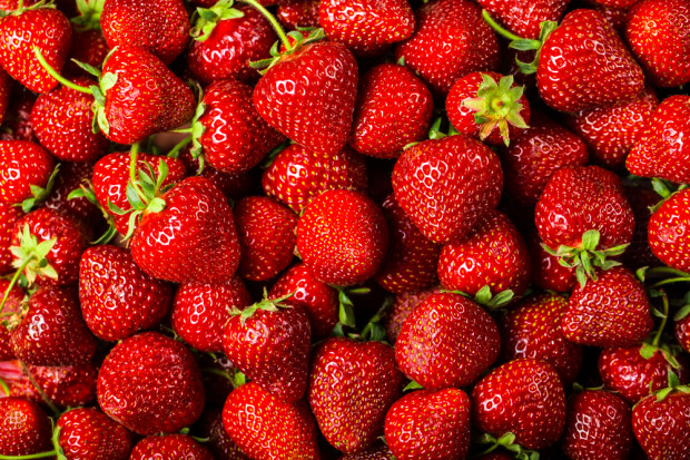 fot. shutterstock Rosną ceny truskawek do przetwórstwa