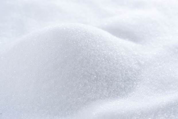 fot. shutterstock IERIGŻ: Zbiory buraków cukrowych mogą sięgnąć ok. 12,3 mln ton