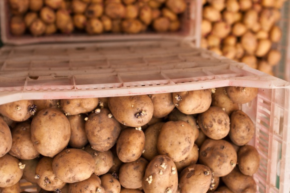 IERiGŻ: Ziemniaków jest mało a ich ceny wysokie