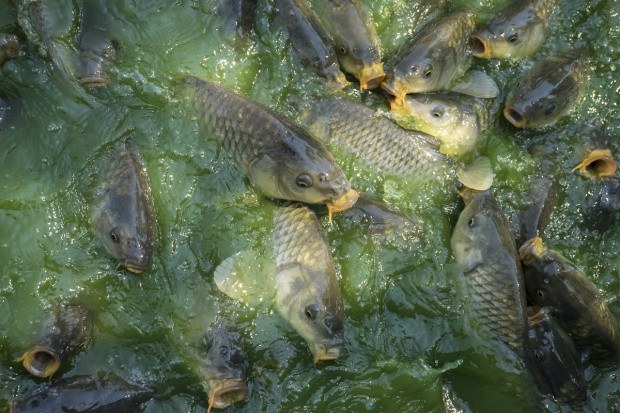 fot. shutterstock.com MŚ: Proponowane opłaty za wodę są najniższe jakie mogą być, ale być muszą