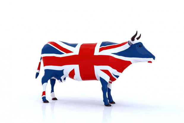 fot. shutterstock Jak Brexit wpłynie na przemysł mięsny w Wielkiej Brytanii?