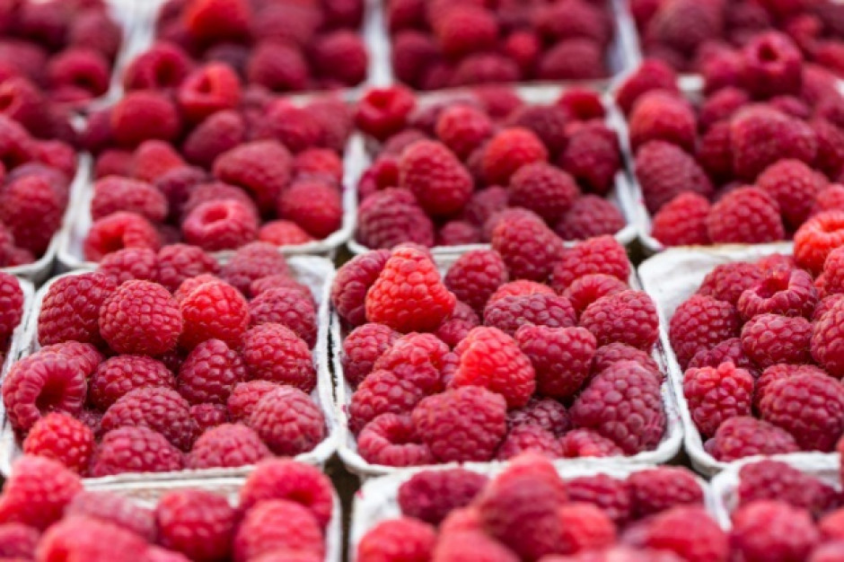 fot. shutterstock Ekspert: Ceny malin wysokie, choć niższe niż w 2015