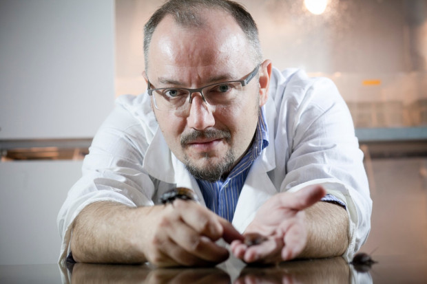 Prof. nadzw. dr hab. Damian Józefiak, jeden z założycieli firmy HiProMine. fot. Paweł Pawłowski Twórca HiProMine: Budujemy nową gałąź przemysłu rolno-spożywczego
