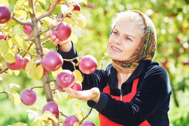 fot. shutterstock.com PIP kontroluje pracę Ukraińców