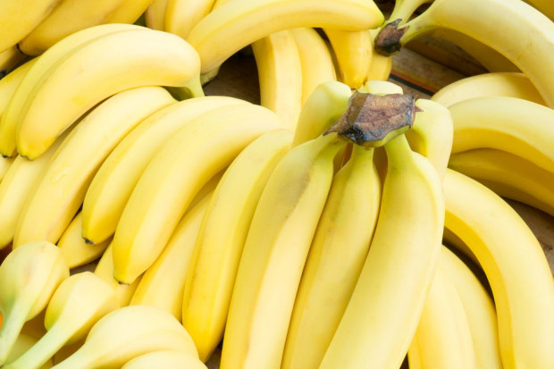 Fot. shutterstock Wyniki kontroli pajęczego kokonu znalezionego na bananach w sklepach Lidl