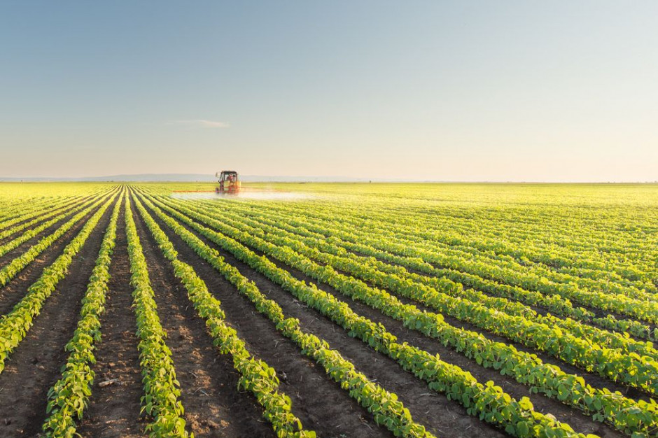 Fot. shutterstock Sejm znowelizował przepisy dotyczące obrotu ziemią rolną