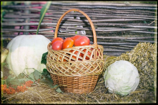 Fot. shutterstock Kampania ICPPC ws. sprzedaży żywności przez rolników