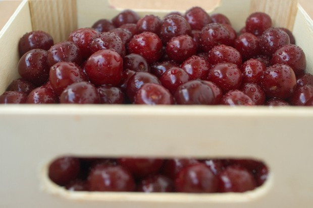 Fot. shutterstock Niemcy: Tegoroczne zbiory wiśni będą mniejsze